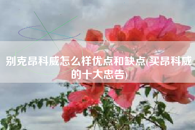 别克昂科威怎么样优点和缺点(买昂科威的十大忠告) 别克昂科威怎么样优点和缺点(买昂科威的十大忠告)
