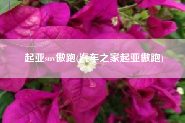 起亚suv傲跑(汽车之家起亚傲跑) 起亚suv傲跑(汽车之家起亚傲跑)