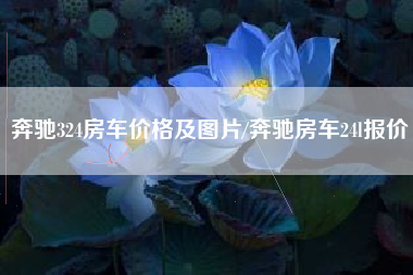 奔驰324房车价格及图片/奔驰房车24l报价