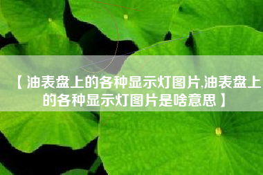 【油表盘上的各种显示灯图片,油表盘上的各种显示灯图片是啥意思】 【油表盘上的各种显示灯图片,油表盘上的各种显示灯图片是啥意思】