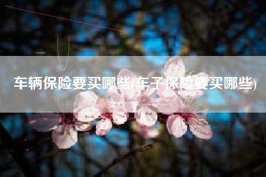 车辆保险要买哪些(车子保险要买哪些)