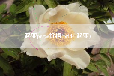 起亚pegas价格(pride 起亚)