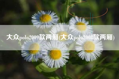 大众polo2009款两厢(大众polo2008款两厢)