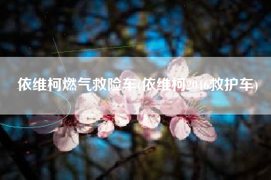 依维柯燃气救险车(依维柯2046救护车) 依维柯燃气救险车(依维柯2046救护车)