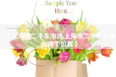 【上海市二手车市场,上海市二手车市场在哪个位置】 【上海市二手车市场,上海市二手车市场在哪个位置】