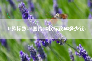 18款标致408图片(18款标致408多少钱)