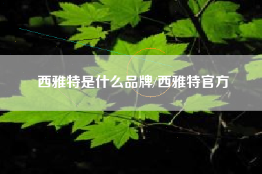 西雅特是什么品牌/西雅特官方