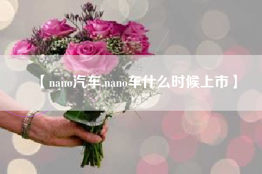 【nano汽车,nano车什么时候上市】 【nano汽车,nano车什么时候上市】