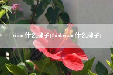 vision什么牌子(thinkvision什么牌子) vision什么牌子(thinkvision什么牌子)