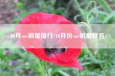 10月suv销量排行(10月份suv销量排名) 10月suv销量排行(10月份suv销量排名)