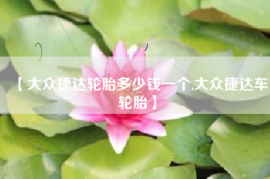 【大众捷达轮胎多少钱一个,大众捷达车轮胎】 【大众捷达轮胎多少钱一个,大众捷达车轮胎】