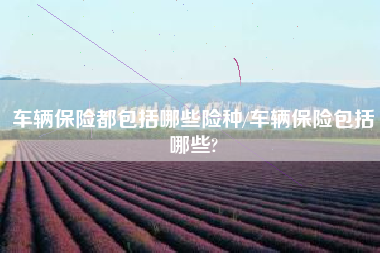 车辆保险都包括哪些险种/车辆保险包括哪些? 车辆保险都包括哪些险种/车辆保险包括哪些?