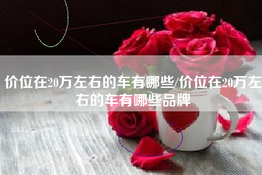 价位在20万左右的车有哪些/价位在20万左右的车有哪些品牌