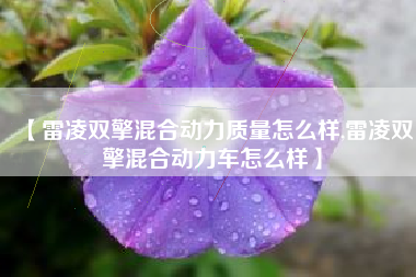 【雷凌双擎混合动力质量怎么样,雷凌双擎混合动力车怎么样】