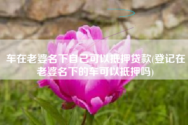 车在老婆名下自己可以抵押贷款(登记在老婆名下的车可以抵押吗)