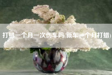 打蜡一个月一次伤车吗(新车一个月打蜡)