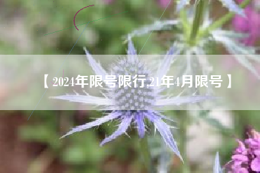 【2024年限号限行,21年4月限号】 【2024年限号限行,21年4月限号】