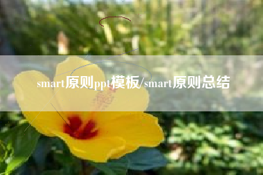 smart原则ppt模板/smart原则总结