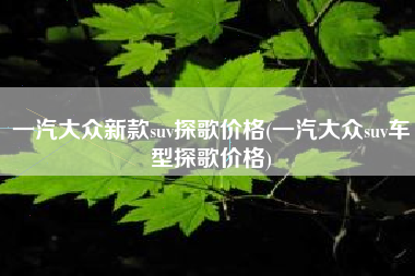 一汽大众新款suv探歌价格(一汽大众suv车型探歌价格) 一汽大众新款suv探歌价格(一汽大众suv车型探歌价格)