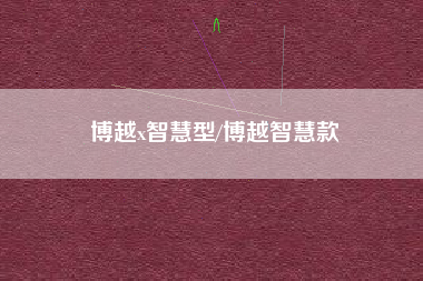 博越x智慧型/博越智慧款