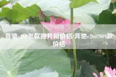 奔驰e260老款图片和价格/奔驰e2602009款价格