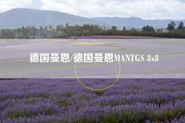 德国曼恩/德国曼恩MANTGS 8x8