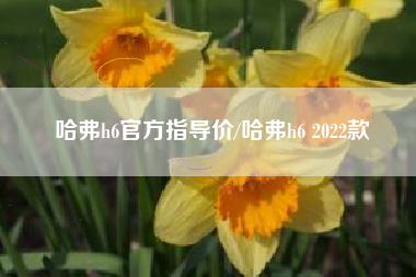 哈弗h6官方指导价/哈弗h6 2022款