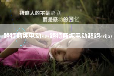 路特斯纯电动suv(路特斯纯电动超跑evija)