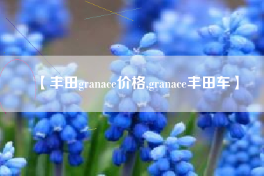 【丰田granace价格,granace丰田车】 【丰田granace价格,granace丰田车】