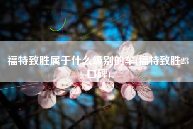 福特致胜属于什么级别的车(福特致胜23口碑)