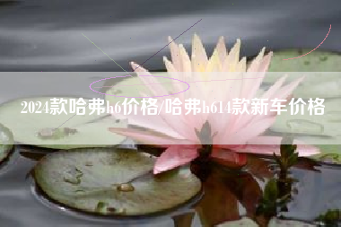 2024款哈弗h6价格/哈弗h614款新车价格 2024款哈弗h6价格/哈弗h614款新车价格
