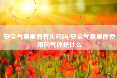 安全气囊里面有火药吗/安全气囊里面使用的气体是什么 安全气囊里面有火药吗/安全气囊里面使用的气体是什么