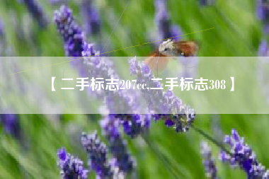【二手标志207cc,二手标志308】 【二手标志207cc,二手标志308】