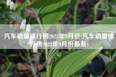 汽车销量排行榜2023年9月份(汽车销量排行榜2023年9月份最新) 汽车销量排行榜2023年9月份(汽车销量排行榜2023年9月份最新)