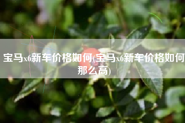 宝马x6新车价格如何(宝马x6新车价格如何那么高)