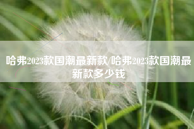 哈弗2023款国潮最新款/哈弗2023款国潮最新款多少钱