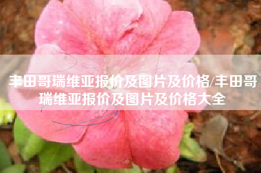 丰田哥瑞维亚报价及图片及价格/丰田哥瑞维亚报价及图片及价格大全