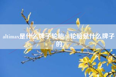 altimax是什么牌子轮胎/al轮胎是什么牌子的 altimax是什么牌子轮胎/al轮胎是什么牌子的