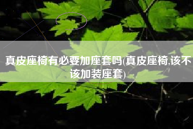 真皮座椅有必要加座套吗(真皮座椅,该不该加装座套) 真皮座椅有必要加座套吗(真皮座椅,该不该加装座套)