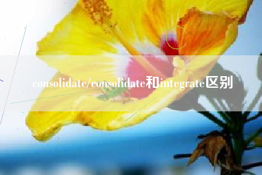 consolidate/consolidate和integrate区别