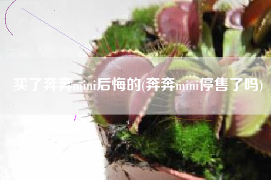 买了奔奔mini后悔的(奔奔mini停售了吗)