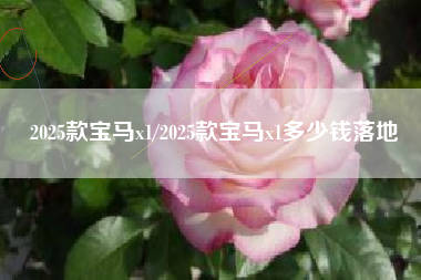 2025款宝马x1/2025款宝马x1多少钱落地