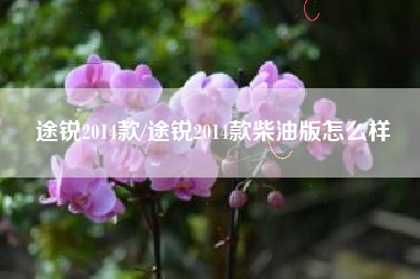 途锐2014款/途锐2014款柴油版怎么样