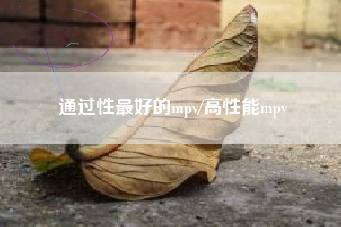 通过性最好的mpv/高性能mpv 通过性最好的mpv/高性能mpv