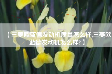 【三菱欧蓝德发动机质量怎么样,三菱欧蓝德发动机怎么样?】