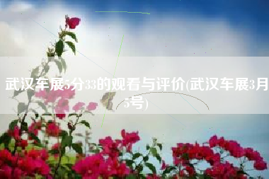 武汉车展5分33的观看与评价(武汉车展3月5号)