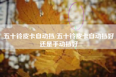 五十铃皮卡自动挡/五十铃皮卡自动挡好还是手动挡好