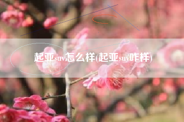 起亚suv怎么样(起亚suv咋样) 起亚suv怎么样(起亚suv咋样)
