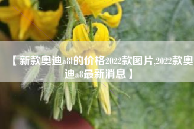 【新款奥迪a8l的价格2022款图片,2022款奥迪a8最新消息】 【新款奥迪a8l的价格2022款图片,2022款奥迪a8最新消息】