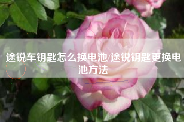 途锐车钥匙怎么换电池/途锐钥匙更换电池方法